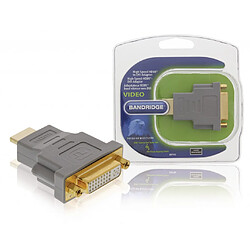 Alpexe Adaptateur HDMI High Speed Connecteur HDMI - DVI-D 24 + 1 broches Femelle Gris