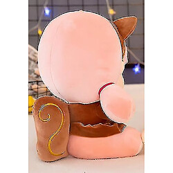 Avis Universal 25 cm mignon écureuil peluche de poupée oreiller fille endormie dans le lit cadeau | oreillers moelleux (brun foncé)