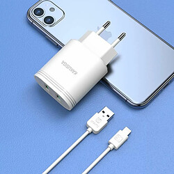 Avis iKaku KSC-372 QIFAN 2.4A Chargeur intelligent avec double port USB avec câble de données Lightning 1 m Blanc