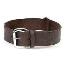 Collier pour Chien Gloria Marron (65 x 4 cm)