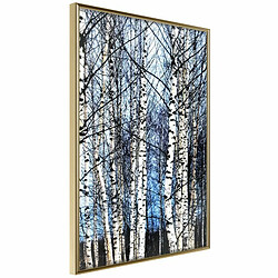 Paris Prix Affiche Murale Encadrée Winter Birch Trees 20 x 30 cm Or