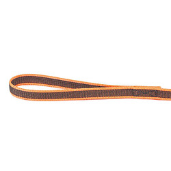 Avis Julius-K9 Laisse De Sport Anti-Glisse Avec Poignée Pour Chien, Orange Fluo, 1m X 20mm Pour Chien Avec Poignée Orange Orange Fluo Autre