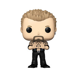 Funko WWE - Figurine POP! Diamond Dallas Page 9 cm