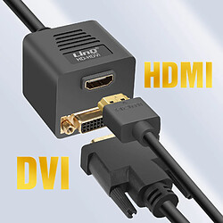 Avis LinQ Adaptateur DVI Mâle vers DVI-D Femelle et HDMI Femelle Compact 33cm Noir