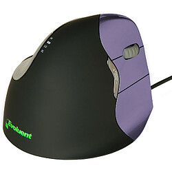 Evoluent VerticalMouse 4 Small