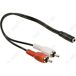 Tech Discount TD® Câble audio-RCA à deux mâles AV-APM-Câble 419004 Adaptateur 2 RCA male-Jack 3.5 mm femelle-cable et connectique-image-son