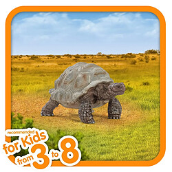 Schleich Tortue Géante Série Wildlife pas cher