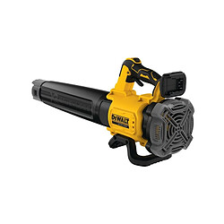 Souffleur XR 18 V sans batterie ni chargeur en boîte carton DEWALT DCMBL562NXJ