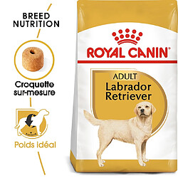 Royal Canin Race Labrador Retriever Adult