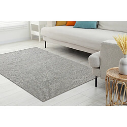 Acheter RUGSX Tapis en laine TAHAR 99004G gris - TISSÉ MAIN boucle, uniforme 120x180 cm