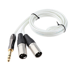 Acheter Remplacement de câble audio mâle 6.35mm vers double xlr mâle pour pc 150