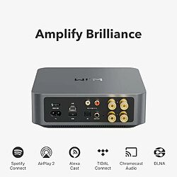 Avis WiiM Amp : Amplificateur de Streaming Multi-pièces avec AirPlay 2, Chromecast, HDMI et contrôle Vocal - Streaming Spotify, Music, Tidal et Plus Encore (Gris Spatial)