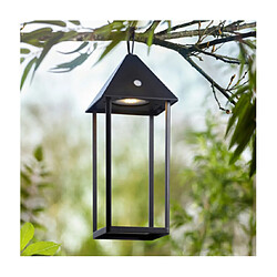 Endon Lampe de table extérieur Hoot Verre,alliage d'aluminium Noir mat, verre transparent