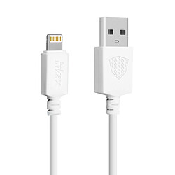 Inkax Câble Lightning 3m Câble USB vers Lightning Charge Synchronisation 2.1A