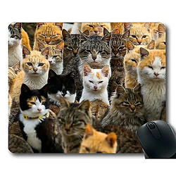 Universal (300x250x3) Mat de souris de jeu, pad de souris Cat Japan, tapis de souris pour ordinateur Cat006mt