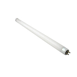 Ampoule LED