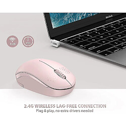 Avis Universal Souris sans fil, 2,4 g de souris sans bruit avec des souris d'ordinateur portables récepteurs USB (rose)