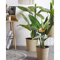 Beliani Plante artificielle STRELITZIA TREE 115 cm