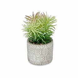 Ibergarden Plante décorative Succulent Bois Plastique 12 x 22 x 12 cm (8 Unités)