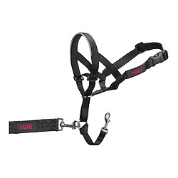 Avis Collier d'entraînement pour chiens Company of Animals Halti Noir Muselière (29-36 cm)