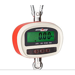 Helloshop26 Crochet peseur industriel professionnel 300kg / 50g - LCD 3414120