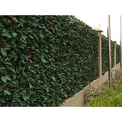 Avis JARDIéco Feuillage artificiel imitation Photinia 1 m² - Jardideco