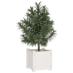 Avis Maison Chic Jardinière,Bac à fleurs - pot de fleur d'extérieur Blanc 31x31x31 cm Bois de pin massif -GKD27390