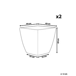 Avis Beliani Lot de 2 pots de fleurs argentés 50 x 50 x 48 cm ASTRAS