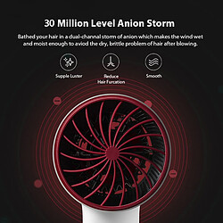 Acheter Universal H5 Sèche-cheveux électrique 1800W Sortie d'air Résistant à la chaleur Soufflage Corps en alliage Anion Brosse pour Sèche-cheveux Diffuseur de coiffeur(Vin rouge)