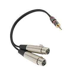 Avis Câble d'Extension Stéréo Mini Jack Audio 3.5mm à Double XLR Femelles