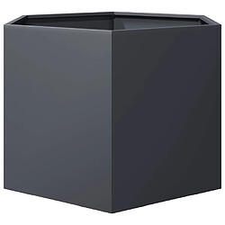 Avis vidaXL Jardinière anthracite hexagone 69x60x45 cm acier