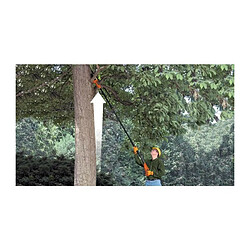 Avis Black & Decker BLACK+DECKER Coupe-Branches 20 cm 18V 2 Ah GPC1820L20-QW Tendeur De Chaîne Avec Clé