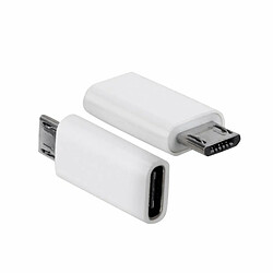 PHONECARE Adaptateur Data Transfer + Chargeur - Type C To Micro Usb