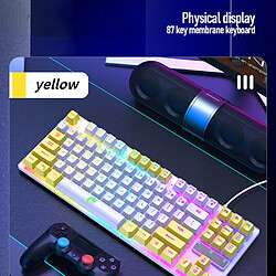 General Clavier de jeu, clavier d'ordinateur silencieux à rétroéclairage LED arc-en-ciel à 87 touches, touches multimédia, touches anti-ghosting, clavier filaire USB étanche pour PC Mac Xbox(blanc jaune)