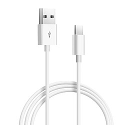 Avizar Cable USB-C Charge rapide Transfert De Données 2.0 Longueur 1m Blanc