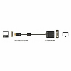 Avis DELOCK Adaptateur Displayport mâle vers DVI 24+5 femelle Noir 22,5 cm