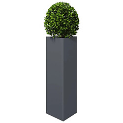 Avis vidaXL Jardinières 2 pcs anthracite triangulaire 30x26x75 cm acier