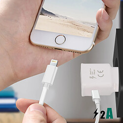 Acheter Avizar Câble USB-C vers USB-C et Lightning et Chargeur Magnétique Intensité 2A Blanc