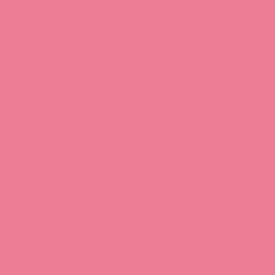 Pebeo Gouache en poudre - 100 g - Rose pas cher