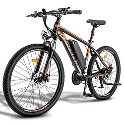 Avis Vélo Électrique FAFREES Hailong One - Moteur 250W Batterie 360WH 40KM d'Autonomie - Noir