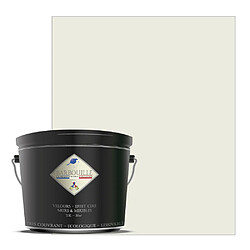 BARBOUILLE Peinture lessivable acrylique velouté – murs et plafonds