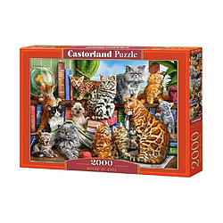 Castorland Puzzle 2000 pièces : La maison des chats