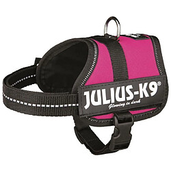 Julius K9 Harnais Power Julius-K9 - Baby 2 - XS-S : 33-45 cm-18 mm - Fuschia - Pour chien