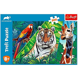 Avis Trefl- für Kinder 7 Jahren Puzzle de 300 pièces, 23007, coloré