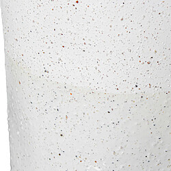 Avis Vase Alexandra House Living Blanc Céramique 19 x 50 cm