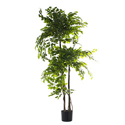 Plante décorative Alexandra House Living Plastique Ficus 18 x 22 x 162 cm