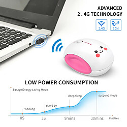 Acheter Souris 2.4G Rechargeable Sans Fil Portable HMW-06 Rose Noir