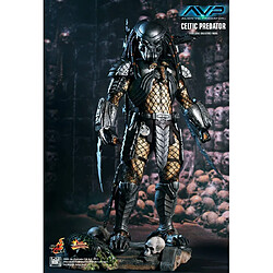 Avis Hot Toys MMS221 - Alien VS. Predator - Celtic Predator