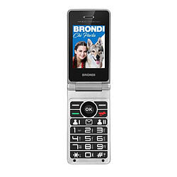 Brondi Amico Prezioso 4,5 cm (1.77') Noir, Métallique Téléphone numérique