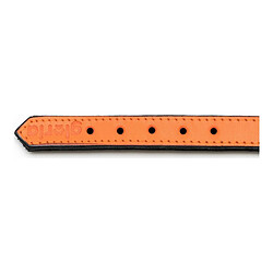 Collier pour Chien Gloria Rembourré Orange (30 x 1,5 cm) pas cher